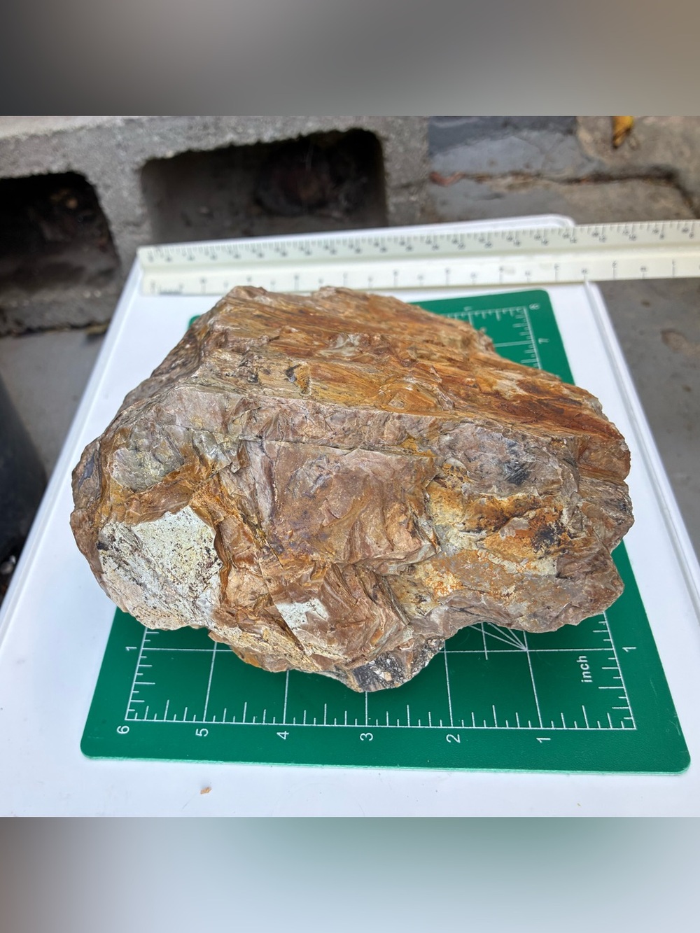 Large Rare Petrified Wood Specimen Rough 6” x7”, Over 5 Lbs - Picture 13 of 16